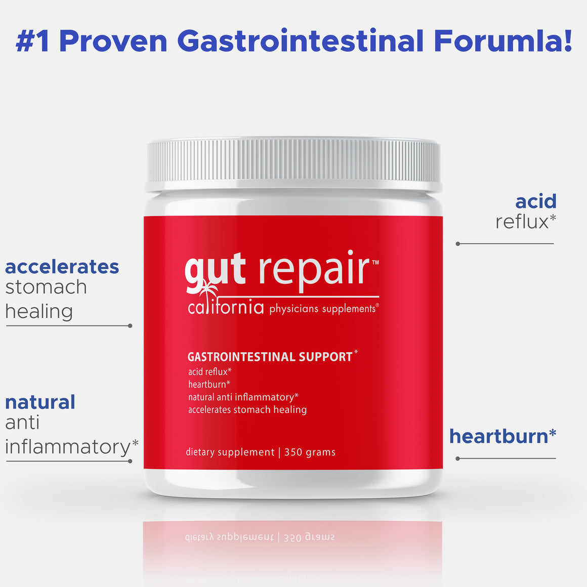 GUT REPAIR