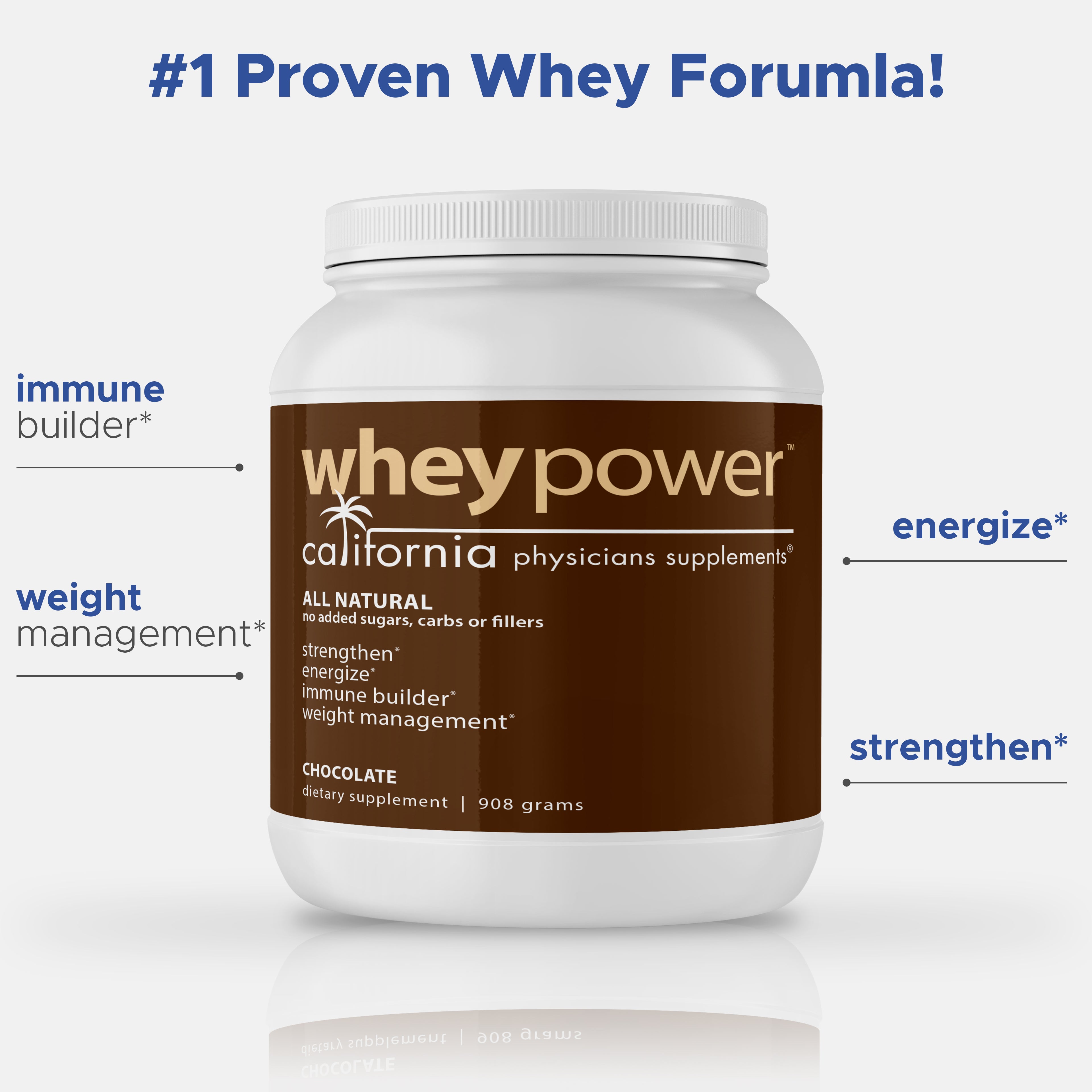 WHEY POWER CHOCOLATE 2LB